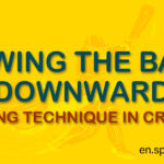 Swing the bat downward batting technique in Cricket