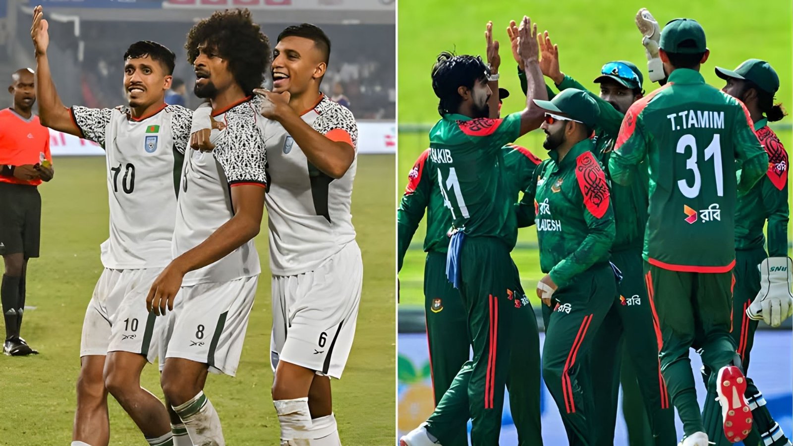 National Players in Election Campaigns