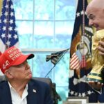 US Makes Life Easier for Football Fans Heading to 2026 World Cup: Visa News You Can't Miss!
