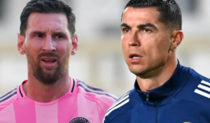 Untitled design 7 Untitled design