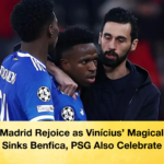 Real Madrid Rejoice as Vinicius Magical Goal Sinks Benfica PSG Also Celebrate Real Madrid Rejoice as Vinícius’ Magical Goal Sinks Benfica, PSG Also Celebrate
